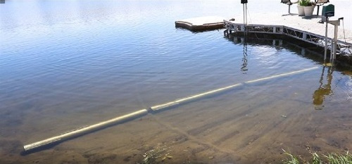 Beach buddy deals lake rake